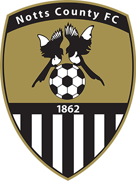 Team logo
